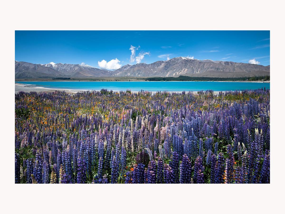 Alpine Suites On Tekapo Luxury B&B Lago Tékapo Exterior foto